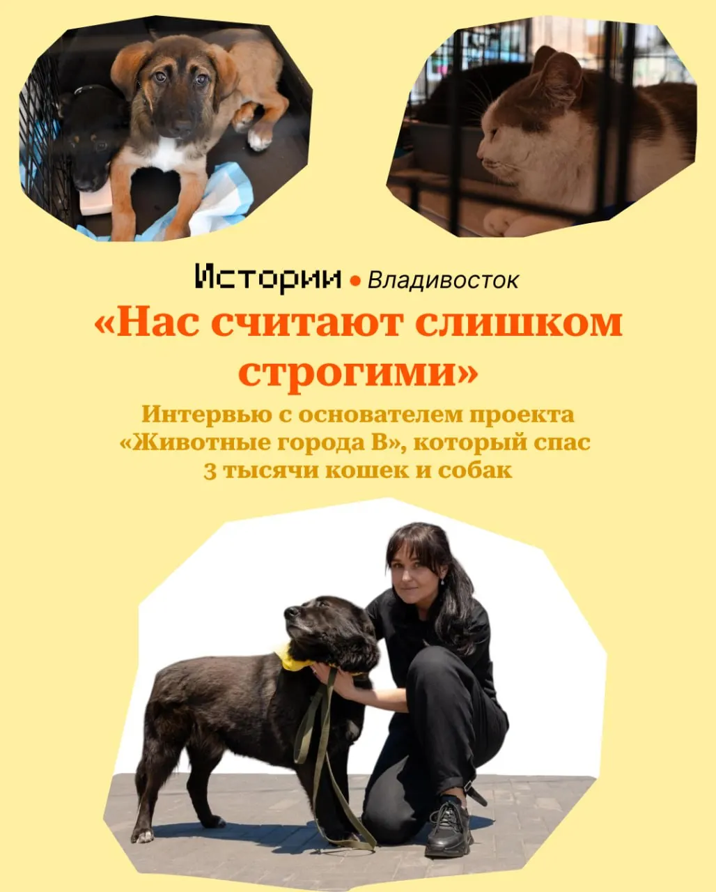 Проект объединяет добровольцев и через регулярные выставки‑раздачи помогает искать семьи животным во Владивостоке. За три года в семьи ушли около трёх тысяч питомцев; координацию обеспечивает движение «Спасем жизнь» при поддержке администрации города.