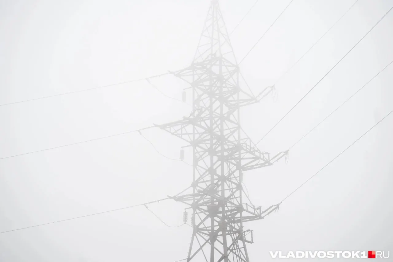 26 июня в Приморском крае переменная погода: местами кратковременные дожди и грозы, на побережье возможны сильные осадки. Днём +21…+28 °C, ночью +13…+16 °C.