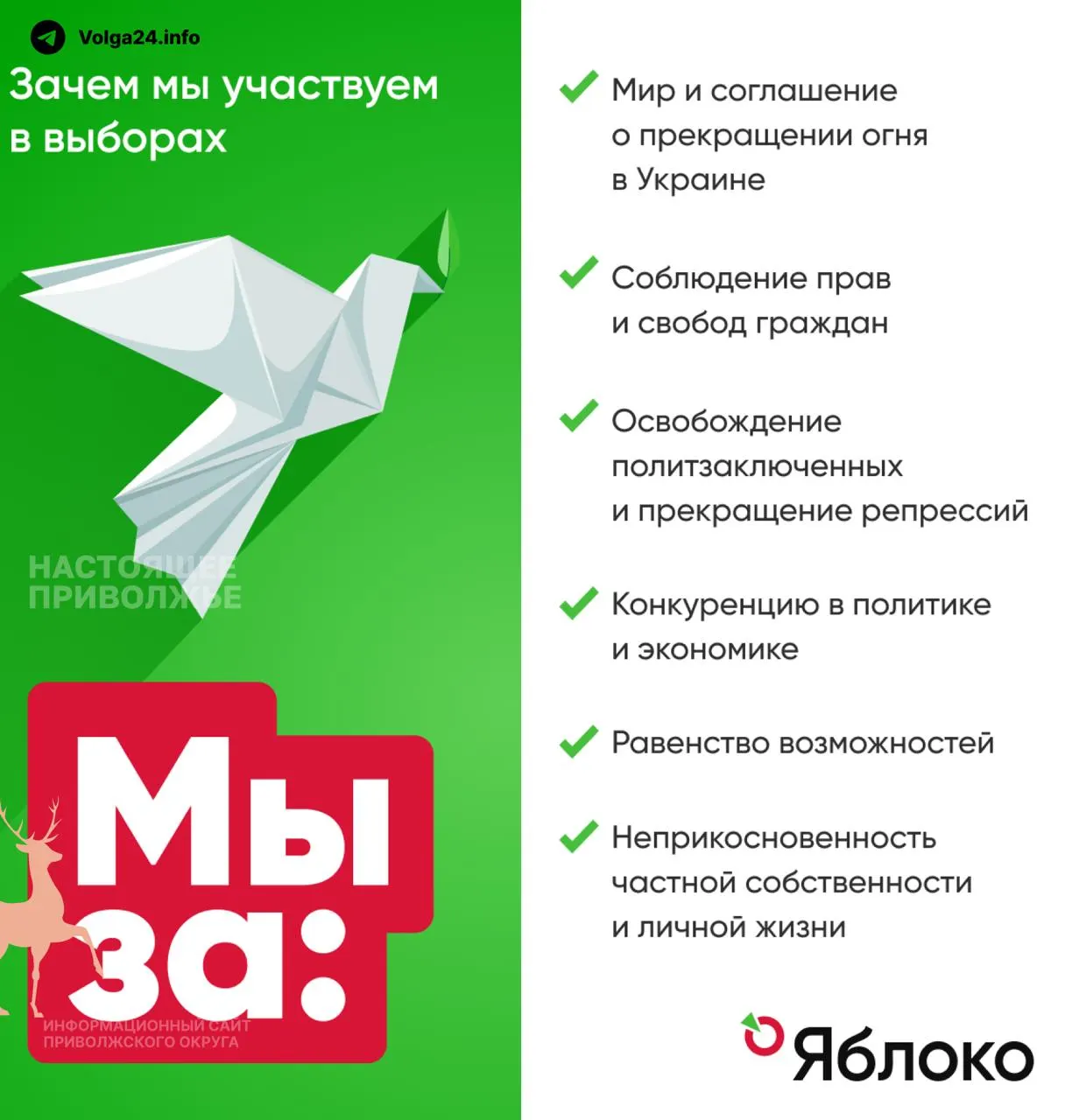 Центральная избирательная комиссия зарегистрировала федеральный список партии «Яблоко». Руководство партии призвало поддержать кандидатов, выступающих за прекращение огня и мирное будущее; в Башкортостане зарегистрирован один представитель партии.