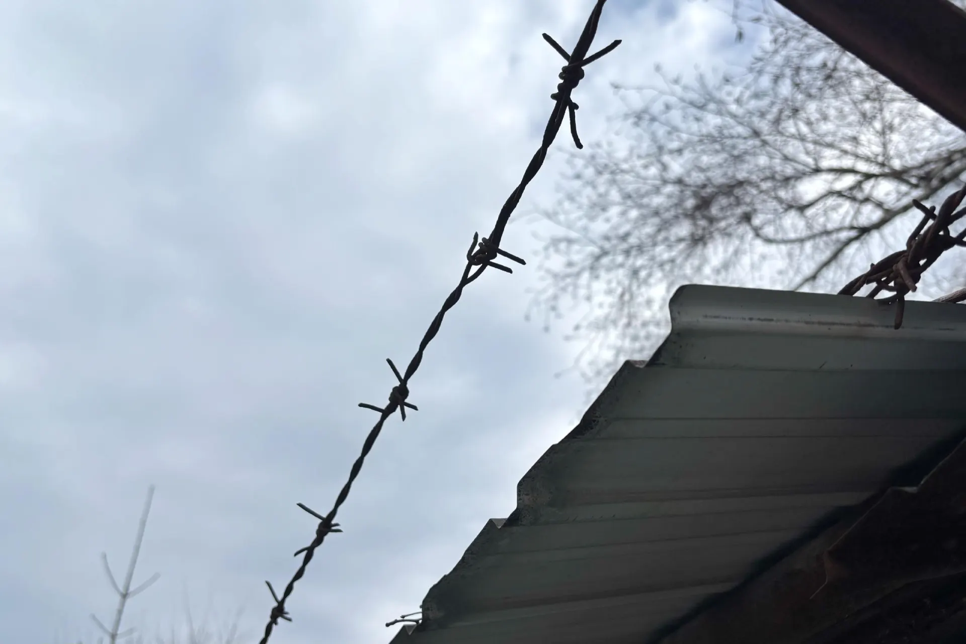 Женщина подозревается в нанесении нескольких ножевых ранений в голову своему сожителю; ей избрана мера пресечения — содержание под стражей.