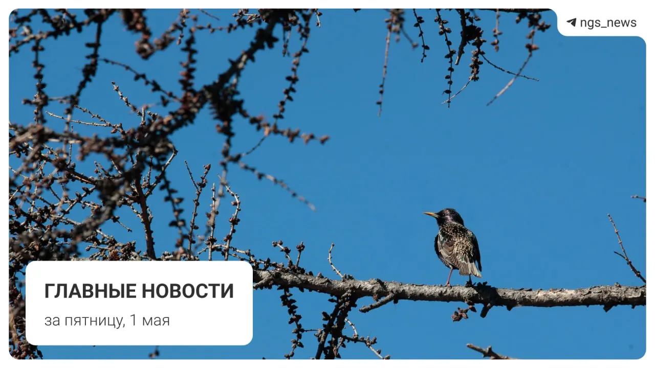 В пятницу в зале детской спортивной школы в Татарске обрушился потолок. По предварительным данным, обошлось без пострадавших. Краткий обзор других местных новостей.