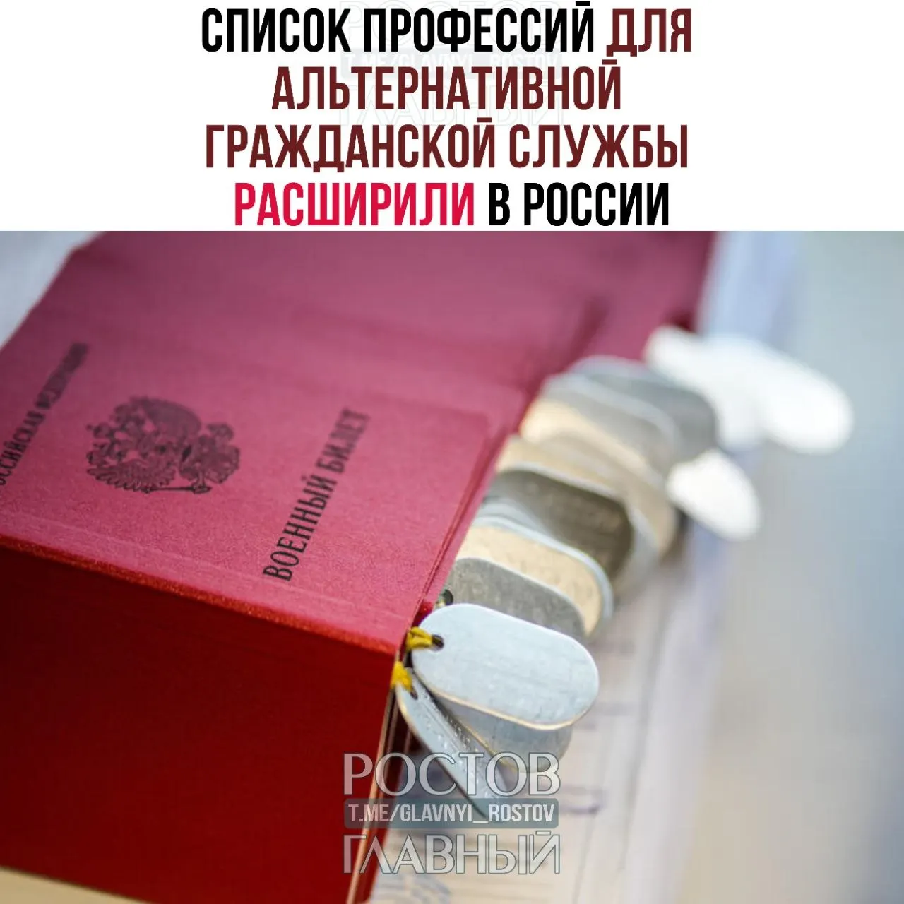 Перечень профессий для прохождения альтернативной гражданской службы увеличили с 271 до 363 позиций. В обновлённый список вошли медики, технические специалисты и ремесленники.