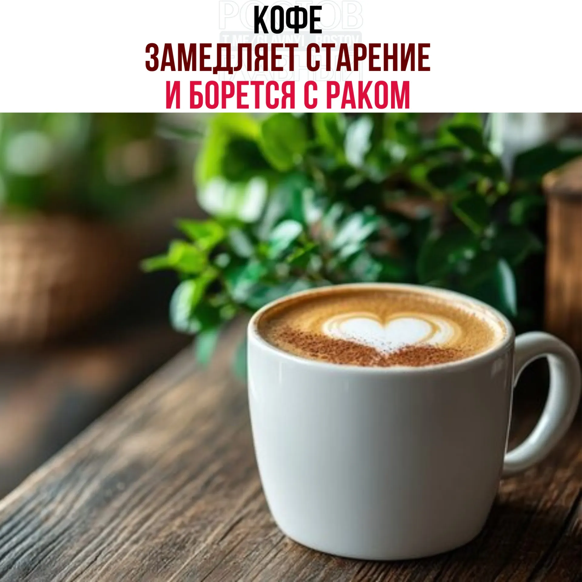 В зернах кофе обнаружены кислоты и полифенолы, усиливающие действие белка NR4A1. Это снижает воспаление, ускоряет восстановление тканей и замедляет деление раковых клеток — результаты пока предварительные.
