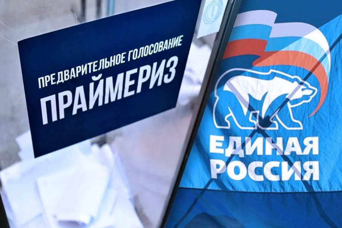 Политологи отмечают, что высокий антирейтинг партии отпугивает часть потенциальных кандидатов; возможен рост самовыдвиженцев и усиление «Новых людей» в Приморье.