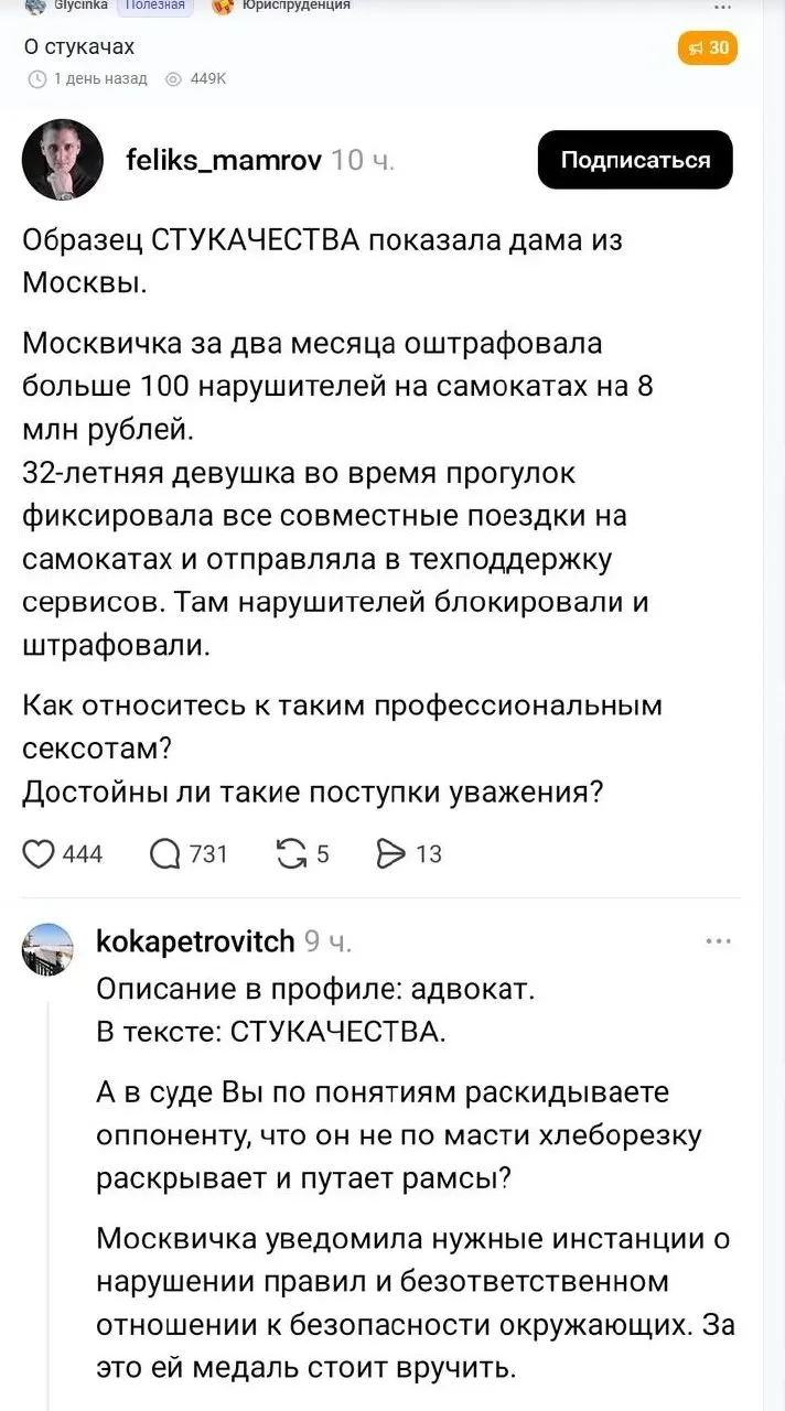 Адвокат Феликс Мамров вызвал волну критики после публикации, где он назвал «стукачкой» женщину, регулярно фиксировавшую нарушения со стороны электросамокатчиков. Впоследствии в сети появились оскорбления в его адрес и анонимная публикация с персональными данными.