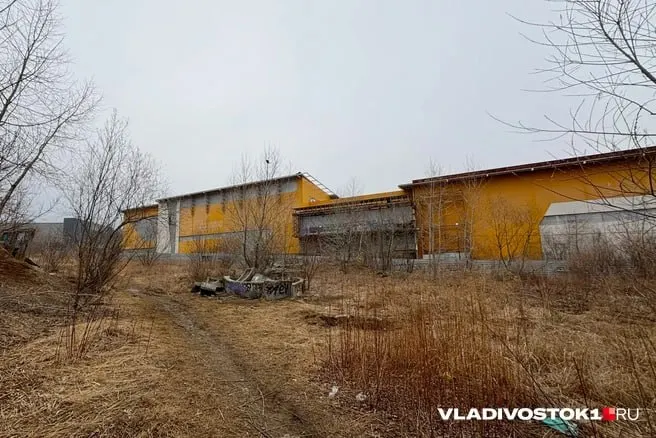 Городские власти приняли решение частично демонтировать аварийные конструкции и возвести современный физкультурно‑оздоровительный комплекс. Подрядчик из Санкт‑Петербурга, срок сдачи — до конца 2029 года. Рядом сохранят пруд с краснокнижными утками.
