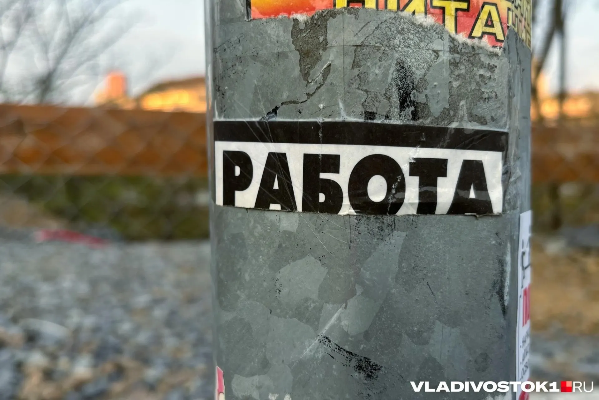 За январь–май 2026 года средняя зарплата в Дальневосточном федеральном округе увеличилась на четверть. Наибольший рост — у слесарей, ремонтников и сотрудников складов; во Владивостоке сильнее всего поднялись выплаты в ЖКХ и страховании.
