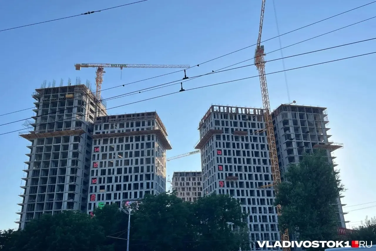 Администрация Владивостока опубликовала результаты общественных обсуждений: из 322 участников 321 высказался против проекта жилой и гостиничной застройки на 14,8 га.