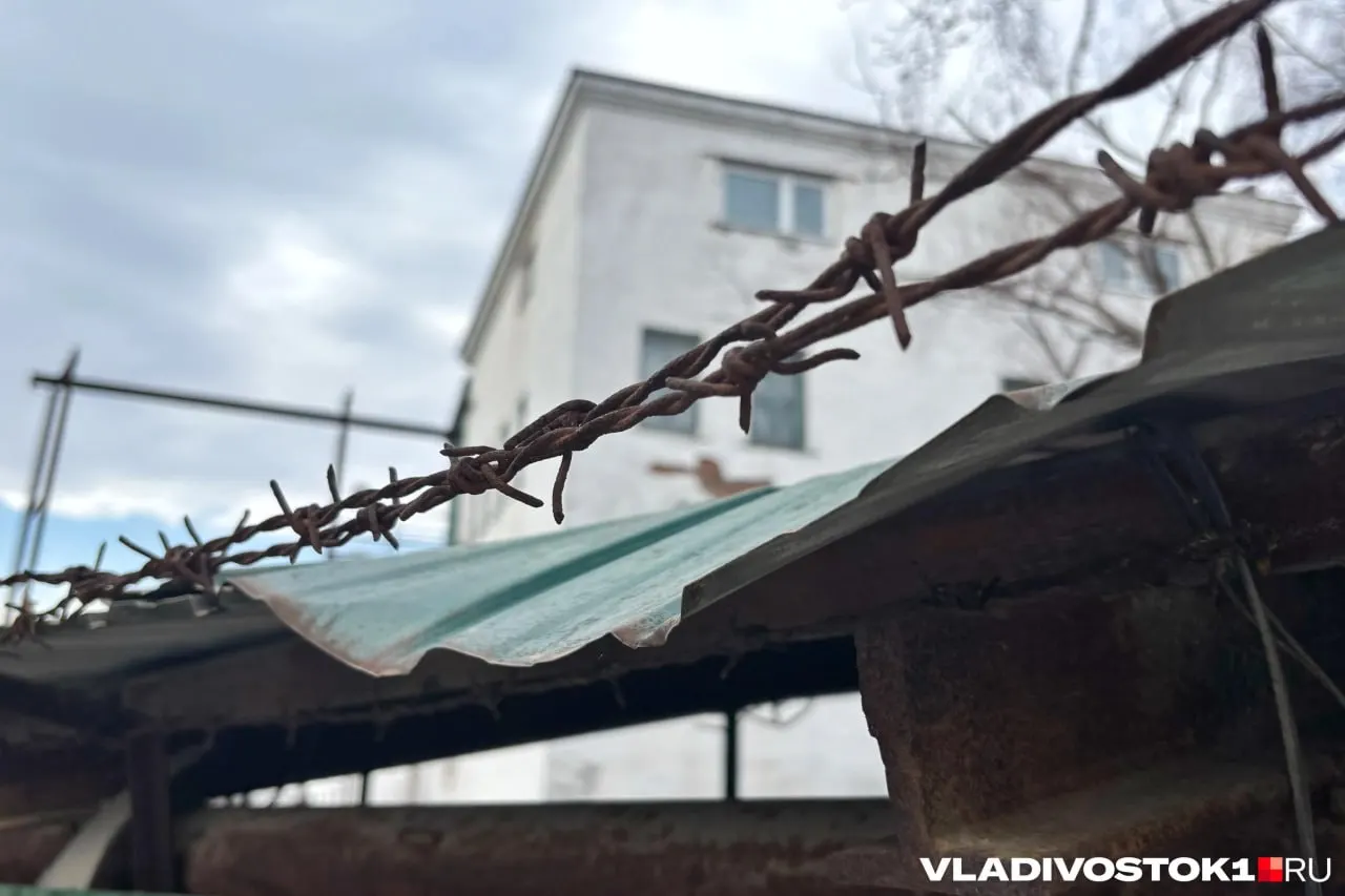 Суд назначил 9 лет колонии строгого режима 25‑летнему гражданину Колумбии, учившемуся во Владивостоке. Его обвиняют в покушении на сбыт синтетических наркотиков — при задержании нашли свёртки весом 13 г и дополнительные тайники с 16 пакетиками.