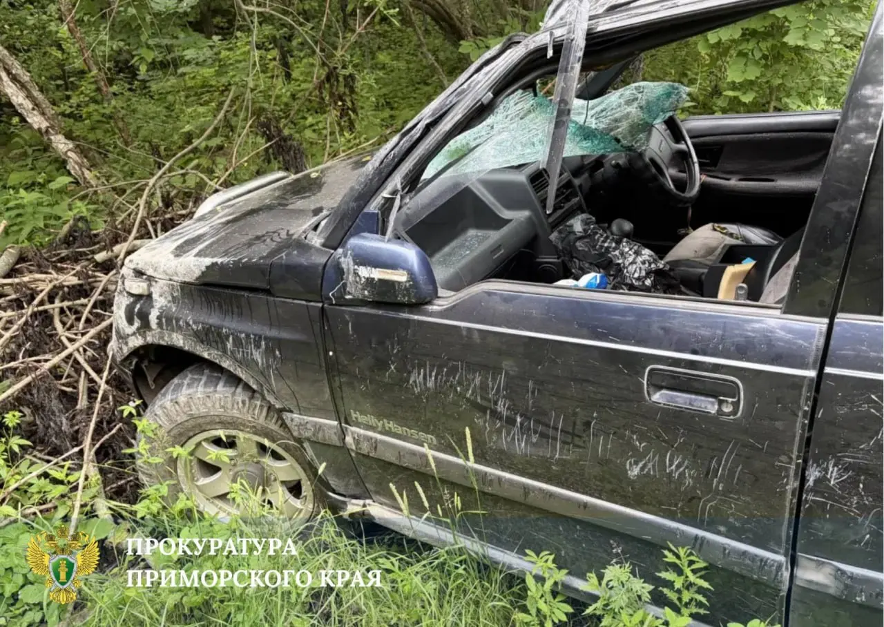 17-летний пассажир погиб утром 18 июля, когда водитель Suzuki Escudo, находившийся в состоянии алкогольного опьянения, съехал в кювет на набережной острова Попова; по факту возбуждено уголовное дело.