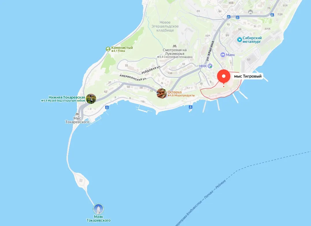 Главгосэкспертиза утвердила проект намыва более 12,5 тыс. кв. м в проливе Босфор Восточный — на территории предусмотрено два причала, объект войдёт в прибрежную программу и курортно‑туристический кластер у острова Русский.