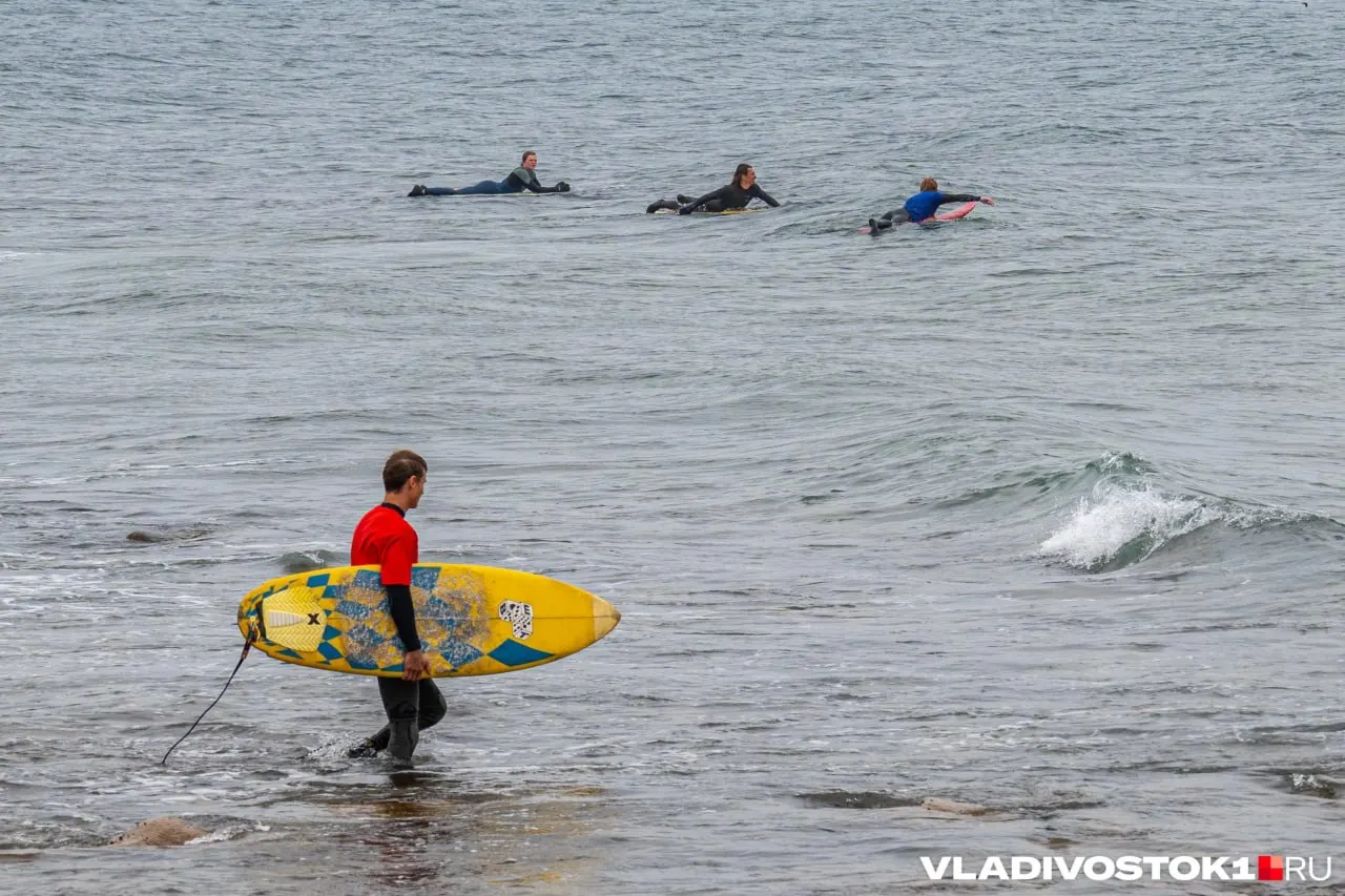После ухода супертайфуна Bavi в Приморском крае температура морской воды поднялась почти на 2°C, а уровень моря в разных пунктах побережья увеличился на 33–54 см.