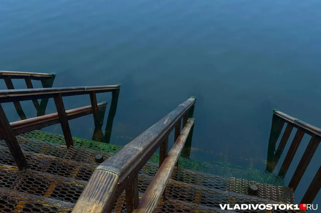 По замерам в Приморском крае средняя температура воды около 18 °C; самые тёплые участки — Посьетский залив и мелководные бухты Русского острова.