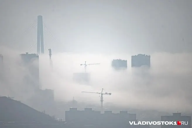 Во Владивостоке ожидается прохладная, сырая и ветреная погода с туманами, в глубинных районах края сохранится летняя жара, но местами возможны сильные дожди, ливни и грозы.