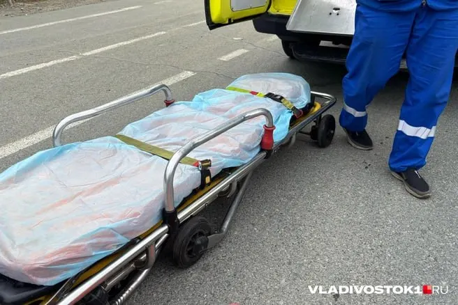 Все четыре лифта в доме на улице Леонова остановились в июне 2024 года. Следственный комитет проверит сведения о нарушении прав жильцов и угрозе их безопасности.