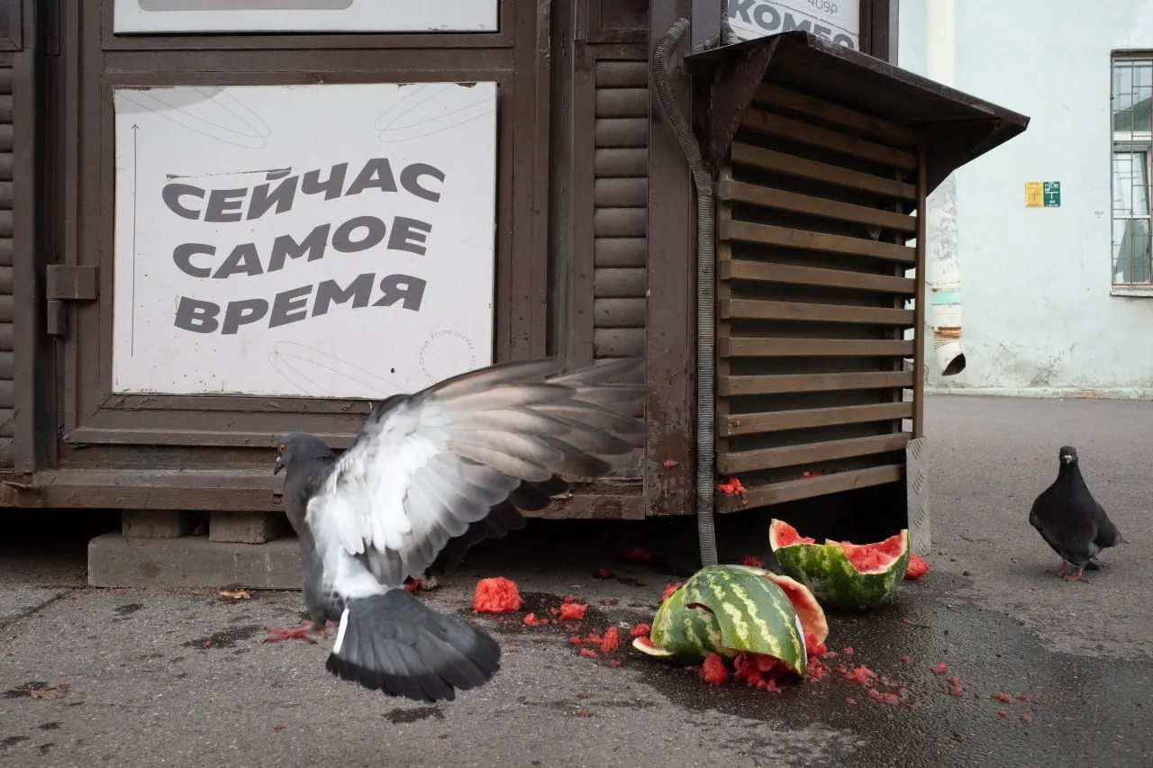 Штраф за антивоенную позицию священника в Петербурге, новые вопросы по выборам и памятные мероприятия в День памяти Большого террора — обзор событий в регионе и за его пределами.