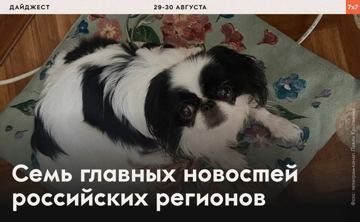 Сводка региональных событий: давление на оппозицию, задержания и ограничения в агитации, а также запреты на строительные проекты и разведение рыбы в водоносных озерах.