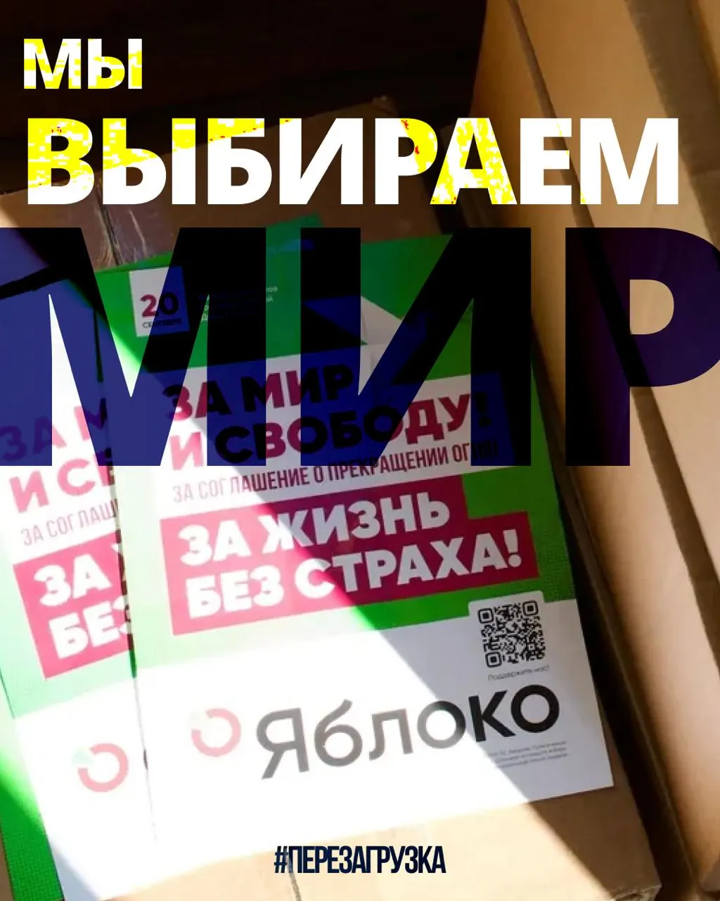 В 53 регионах задействованы 135 кандидатов; кампанию поддерживают тысячи людей, усиливается сбор подписей и растет солидарность по всей стране.