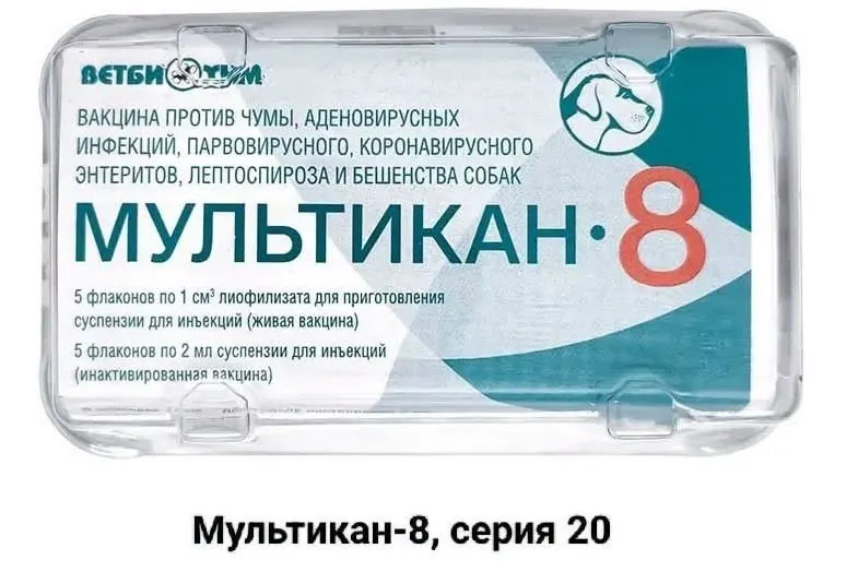 Пострадавшие требуют прозрачного расследования смертей собак после прививок и проверки вакцин, утверждая, что пробы задерживаются и дела замалчиваются.