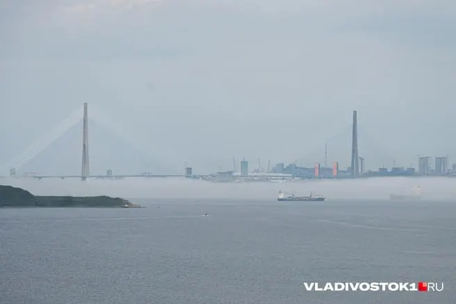 На острове Русский во Владивостоке обнаружено тело человека, предположительно дайвера; личность погибшего пока не установлена.