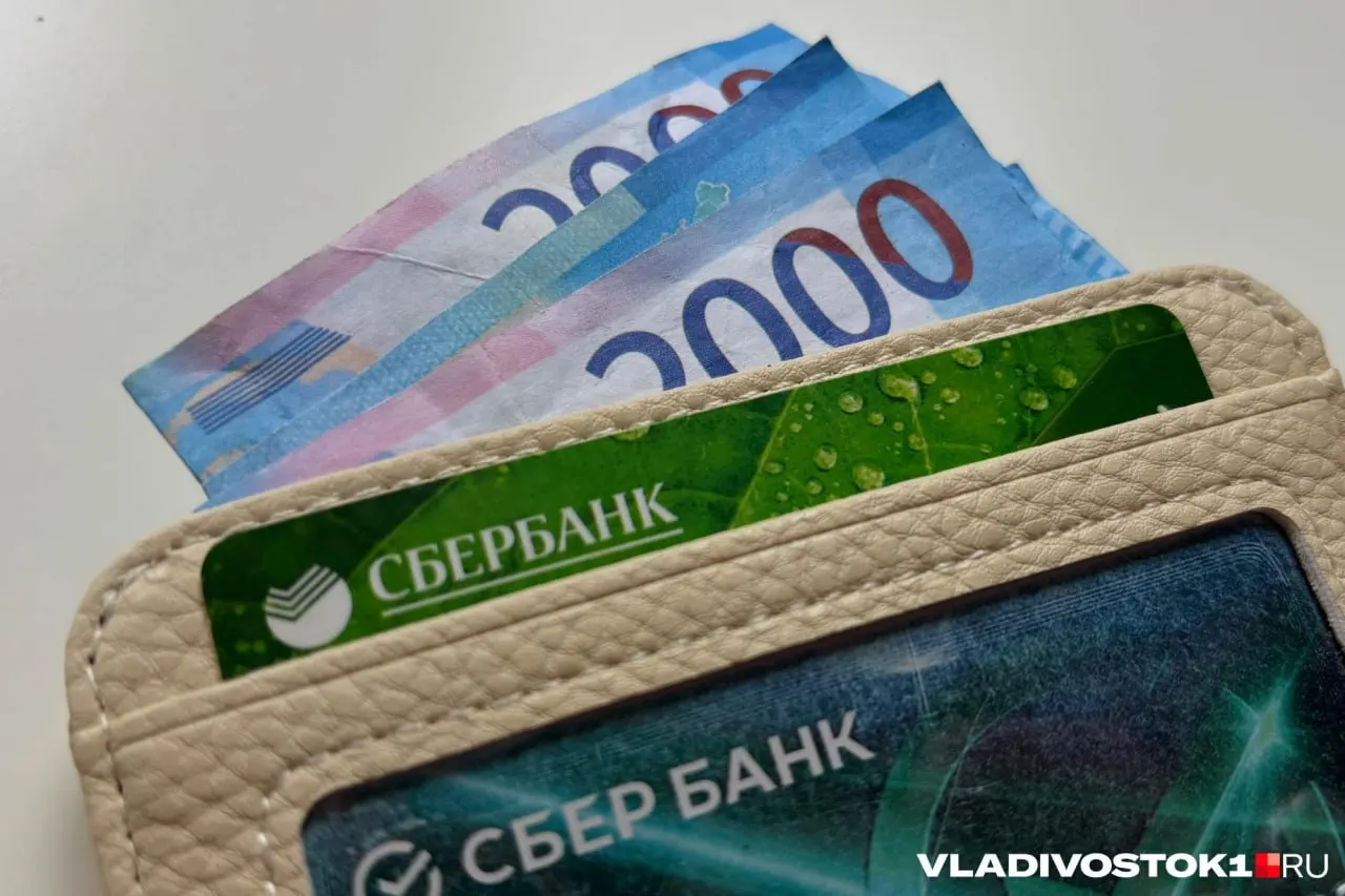 Выплаты составляют 30 тысяч рублей за активное участие в охране порядка и розыске пропавших лиц и происходят два раза в год — в июне и декабре. Право на вознаграждение имеют только зарегистрированные дружинники; выплаты финансируются из городского бюджета и требуют подачи ходатайства через МВД.