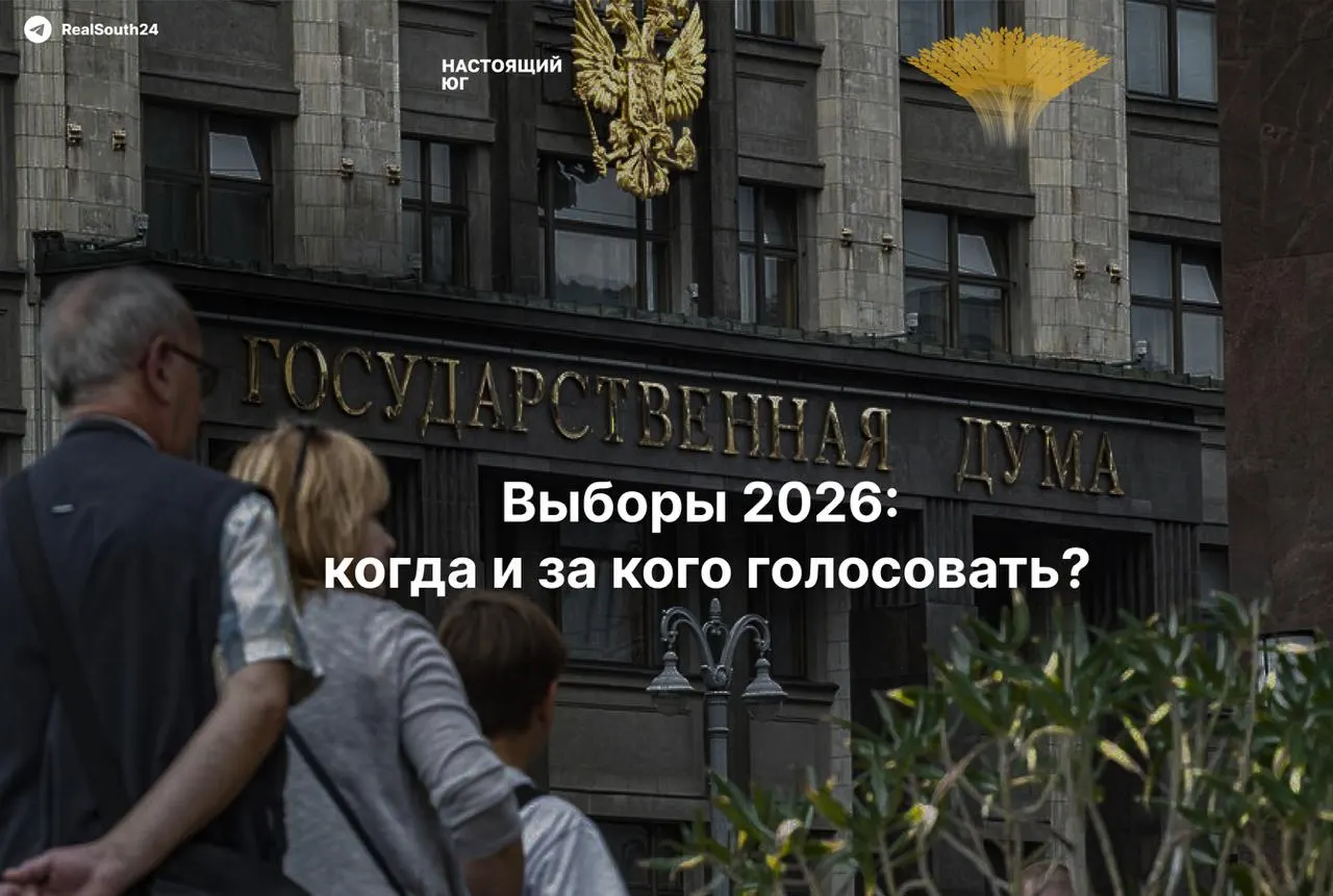 Инструкция по участию в выборах 20 сентября: время, бюллетени и безопасность наблюдения.