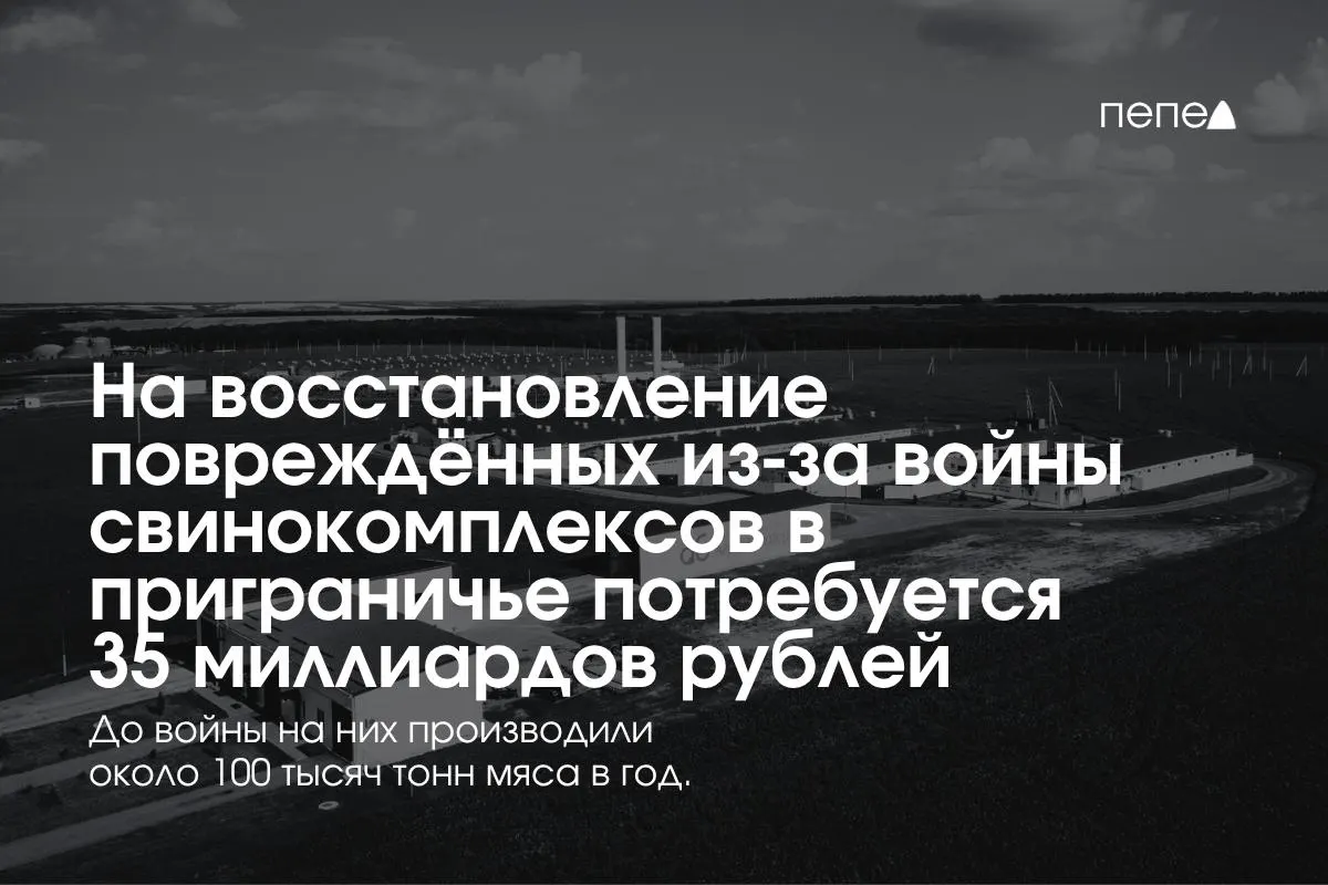 Ремонт и восстановление свинокомплексов в приграничье оцениваются в 35 млрд рублей, учитывая меры безопасности и защиту инфраструктуры.