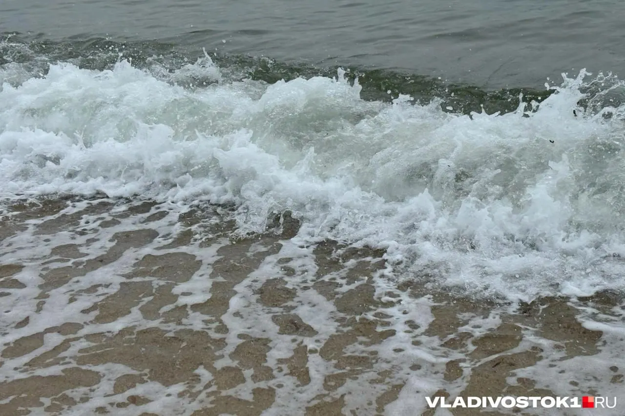 По итогам сезона на воде зафиксировано 82 происшествия; главные причины — алкоголь и отсутствие присмотра за детьми. В прошлом году было зафиксировано 109 происшествий.