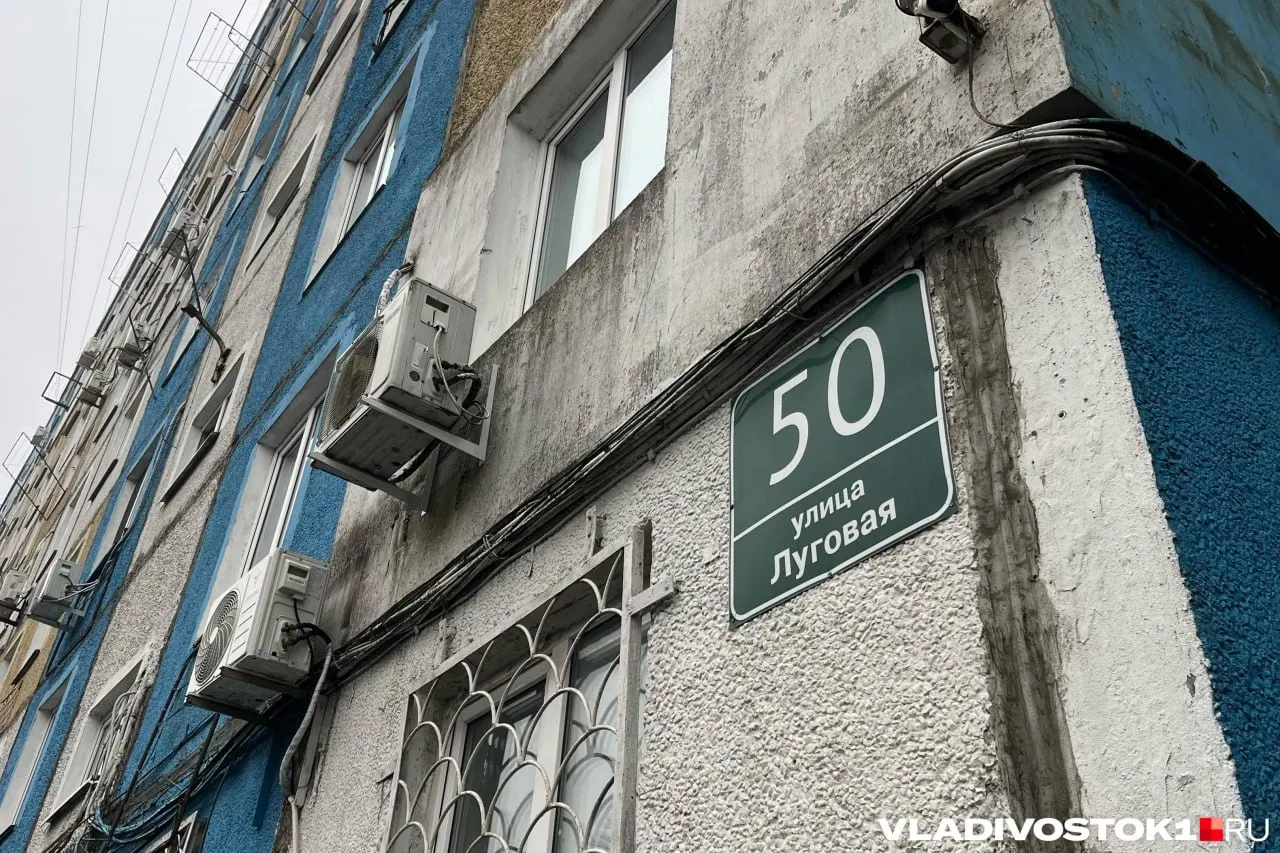 13 аукционов на капитальный ремонт жилых домов во Владивостокском и соседних округах, общая сумма закупок — 866 710 484 рублей. Планируются работы по ремонту крыш и фасадов в нескольких муниципалитетах; перечислены конкретные дома к ремонту.