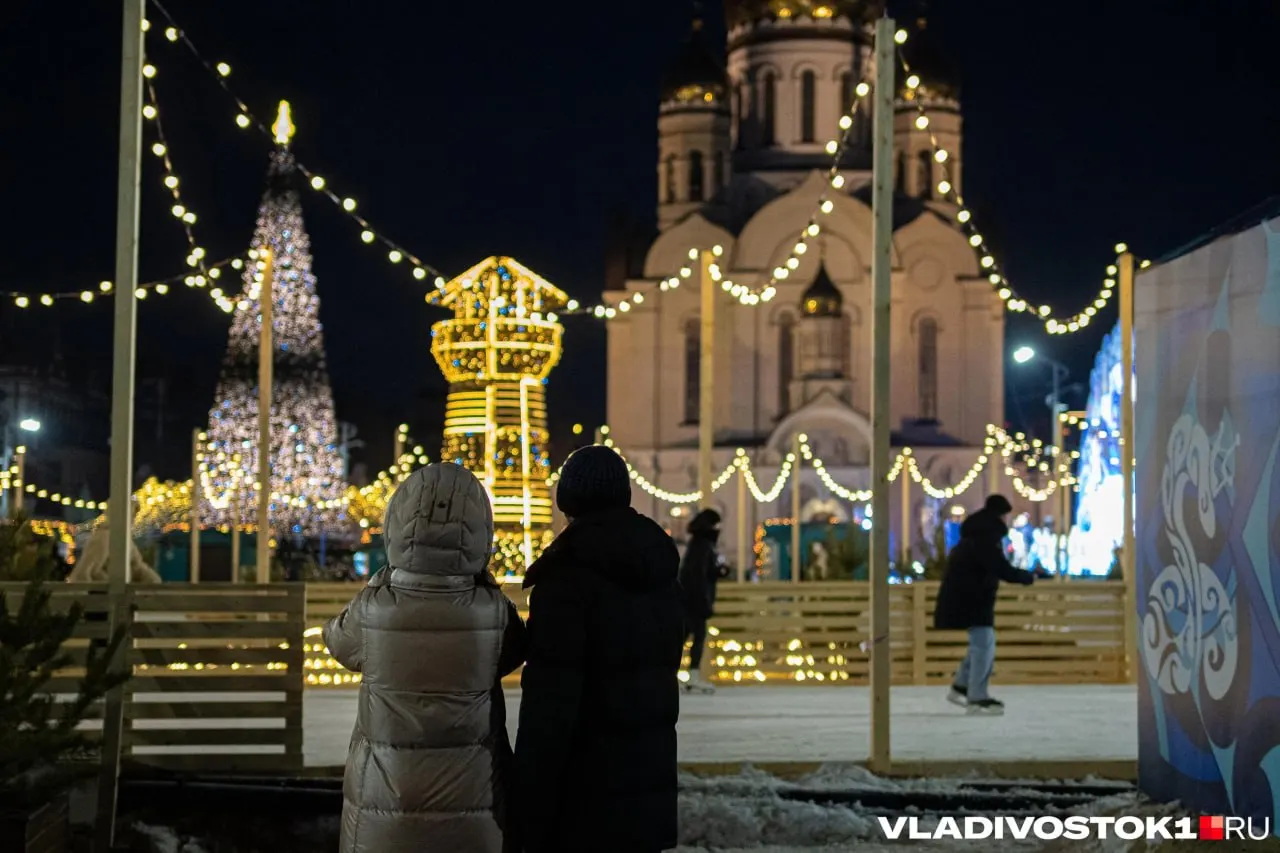 Общегородская инициатива предусматривает оформление гостевого маршрута и основных улиц Владивостока. Начальная стоимость контракта оценивается примерно в 12 572 938,04 рубля; работы должны начаться после подписания контракта и быть завершены до конца ноября (сроки — 30 ноября).